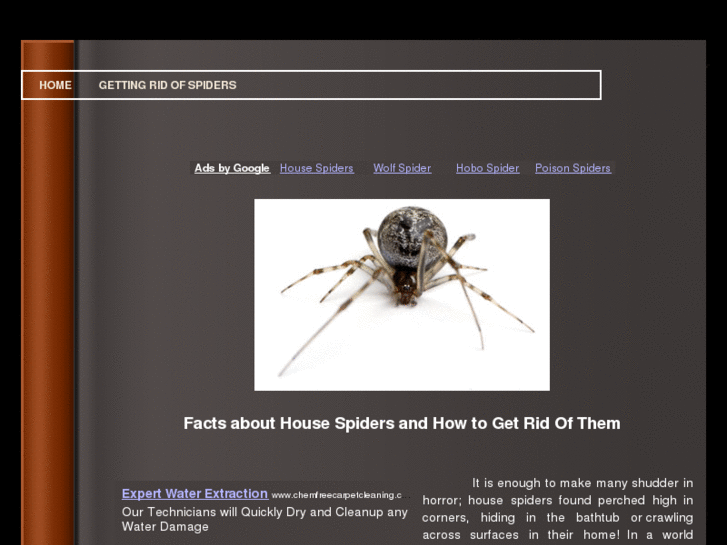 www.housespiders.org