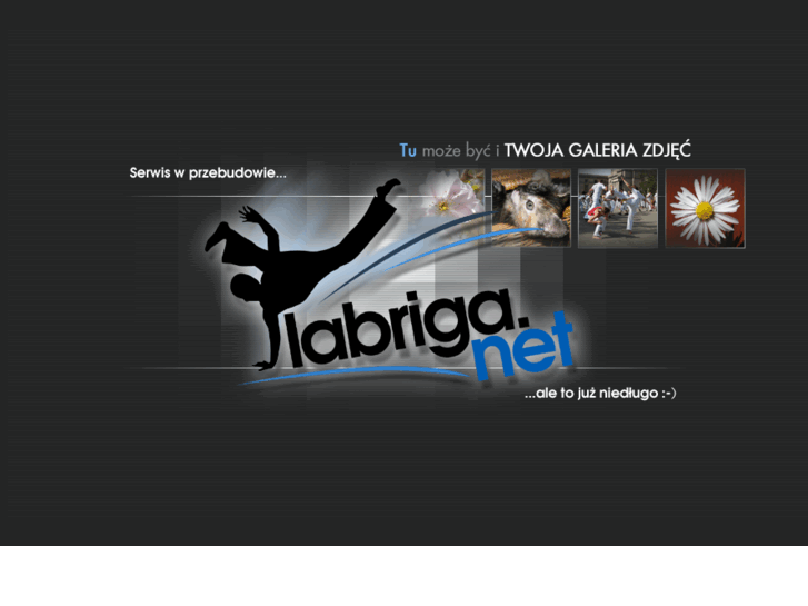 www.labriga.net