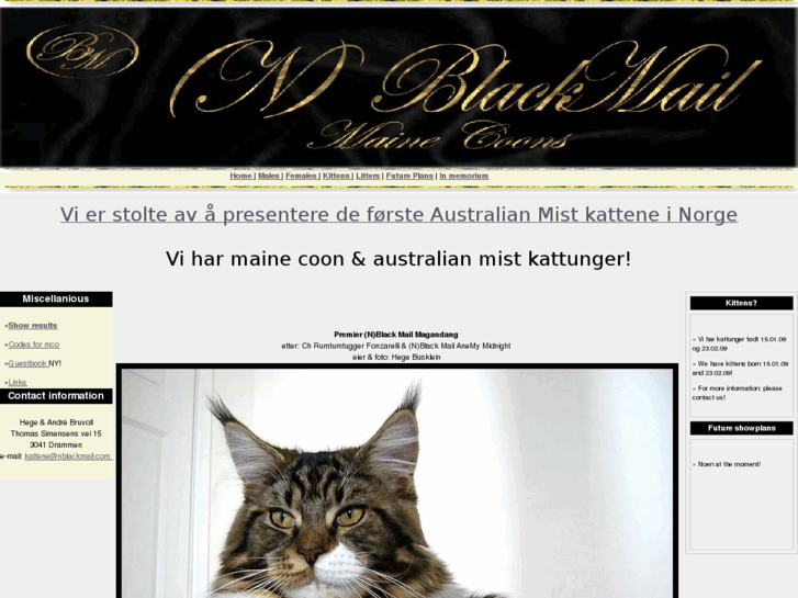 www.nblackmail.com