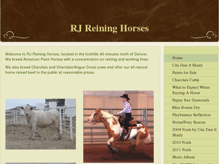 www.rjreininghorses.com