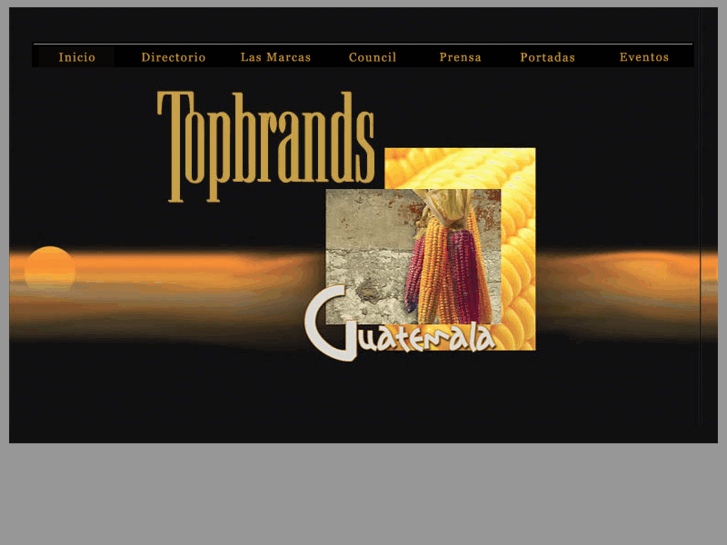 www.topbrandsguatemala.com