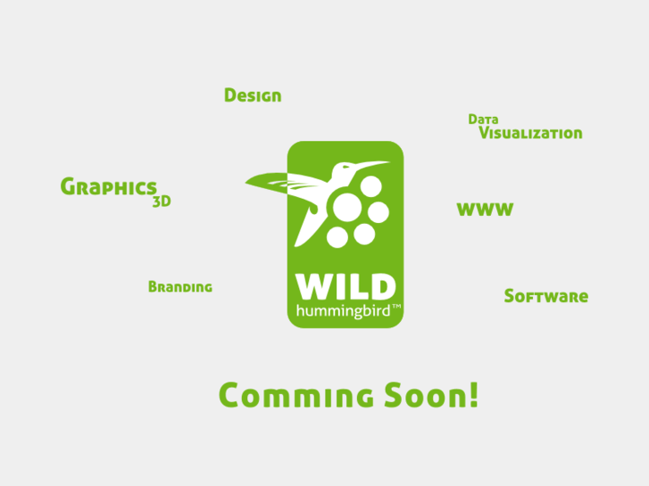 www.wild-hummingbird.com