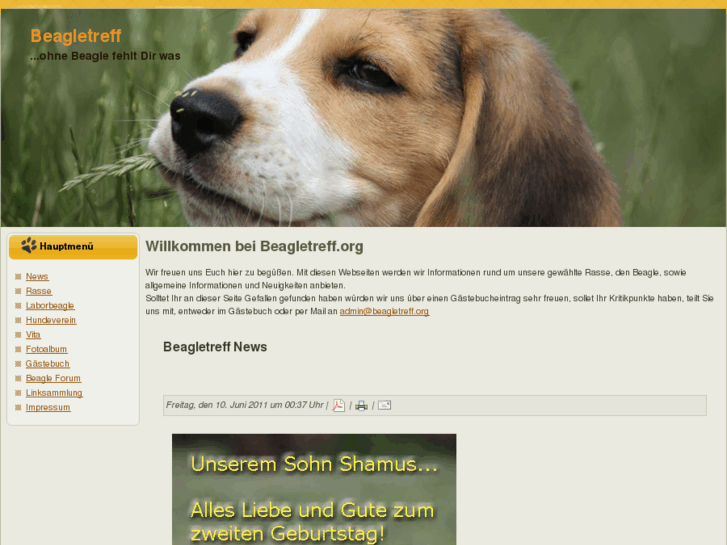 www.beagletreff.org