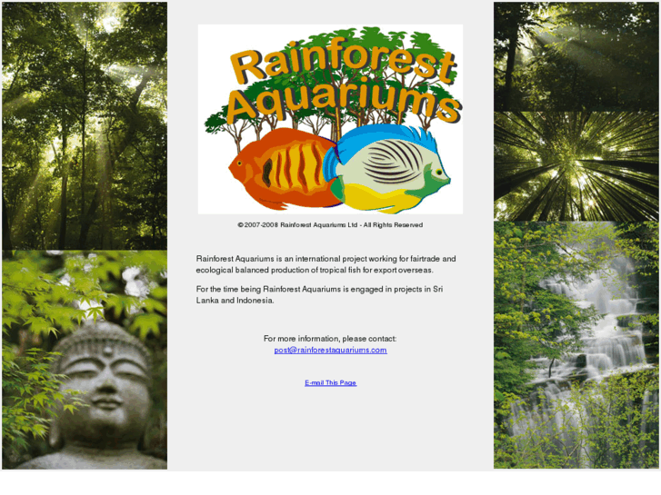 www.rainforestaquariums.com