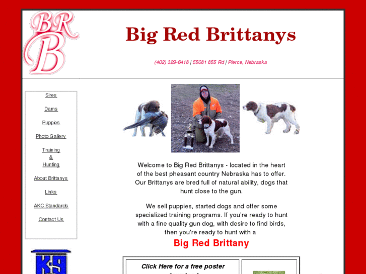 www.bigredbrittanys.com