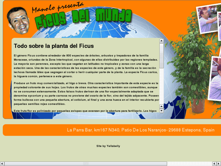 www.ficusdelmundo.com