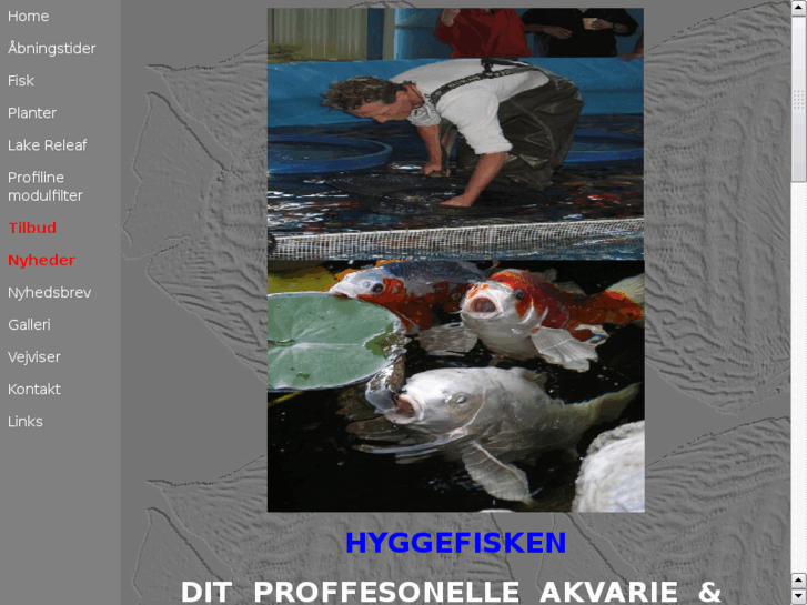 www.hyggefisken.dk