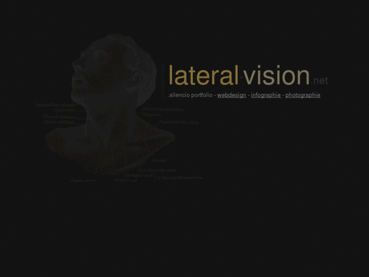 www.lateral-vision.net