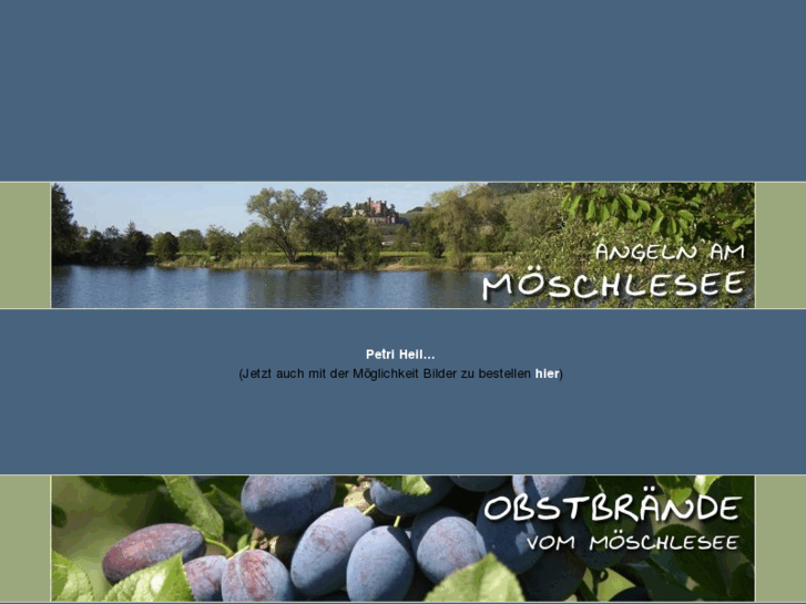 www.moeschlesee.de