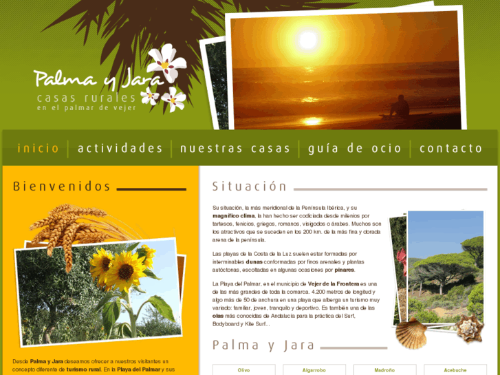 www.casaruralelpalmar.com