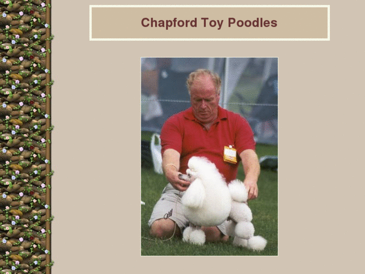 www.chapfordpoodles.com