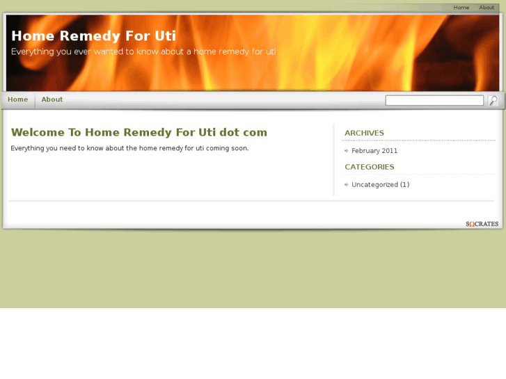 www.homeremedyforuti.com