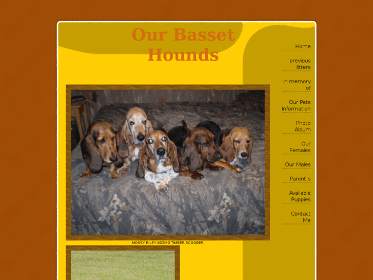 www.pilzbassets.com