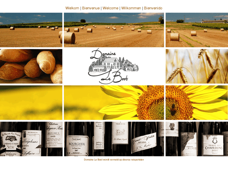 www.domaine-lebost.com