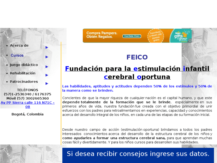 www.feico.org