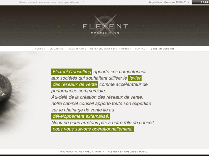 www.flexent-consulting.com