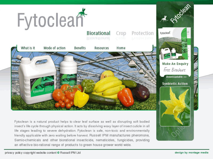 www.fytoclean.com