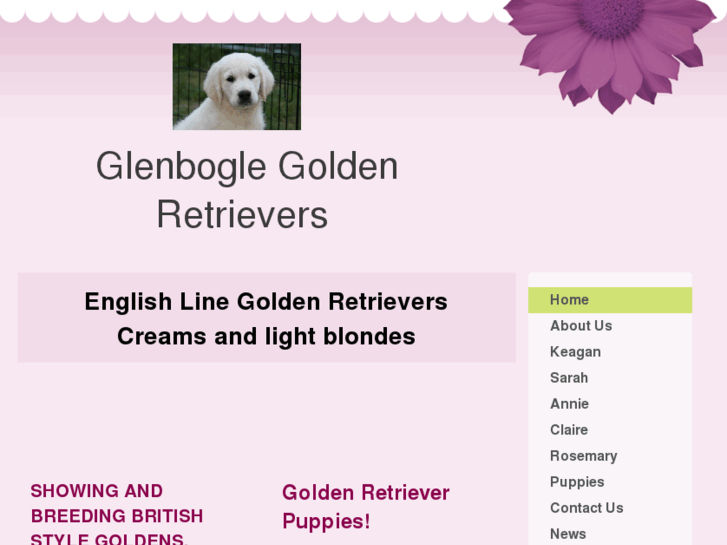 www.glenboglegoldens.com