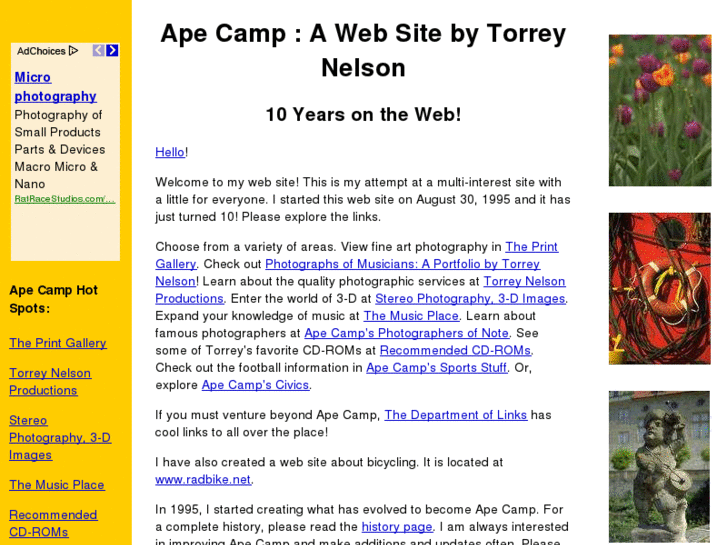 www.ape-camp.com