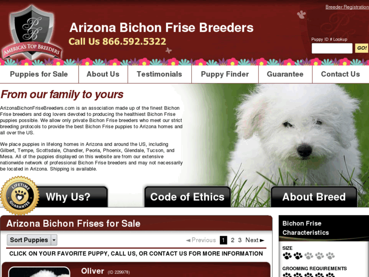 www.arizonabichonfrisebreeders.com