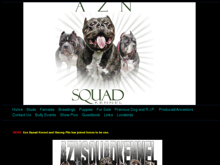 www.aznsquadkennel.com