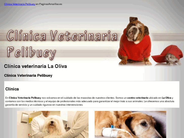 www.clinicaveterianariapelibuey.com