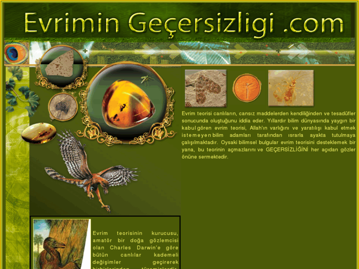 www.evrimingecersizligi.com