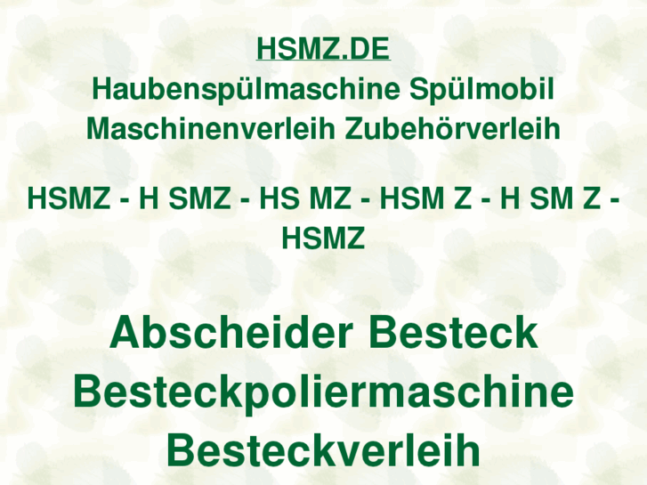 www.hsmz.de