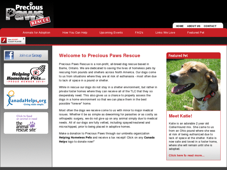 www.preciouspawsrescue.ca