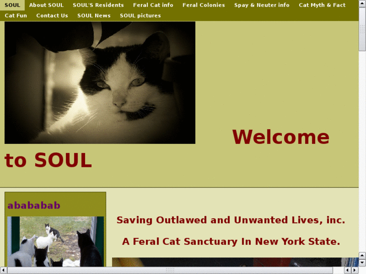 www.feralsoul.com