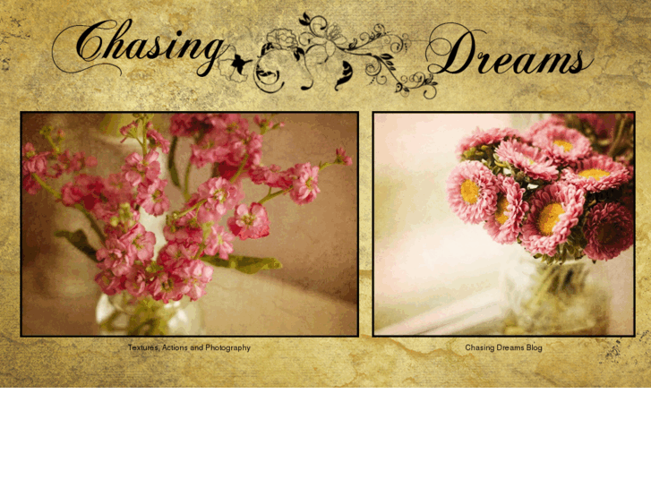 www.chasingdreams.me