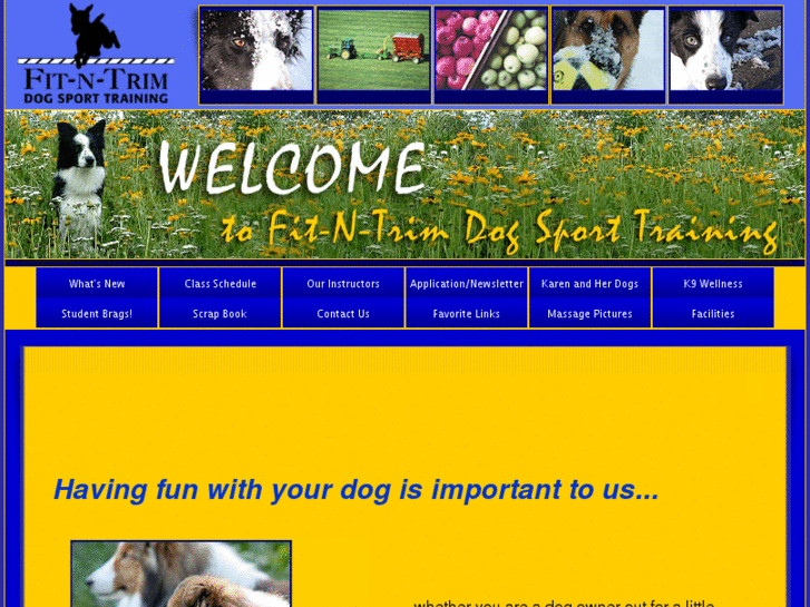 www.fit-n-trimdogagility.com