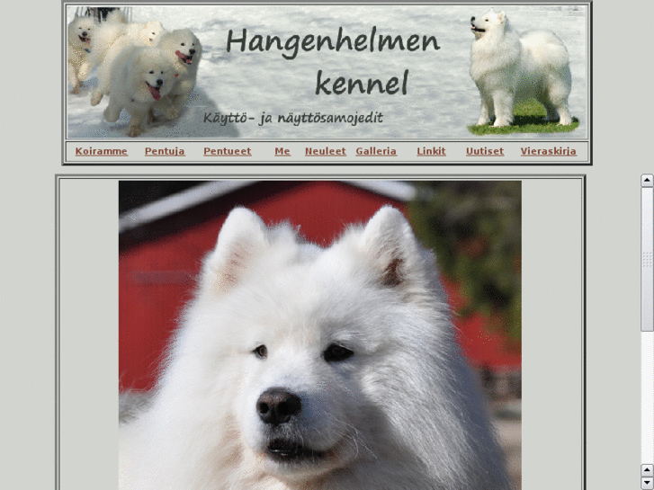 www.hangenhelmen.net