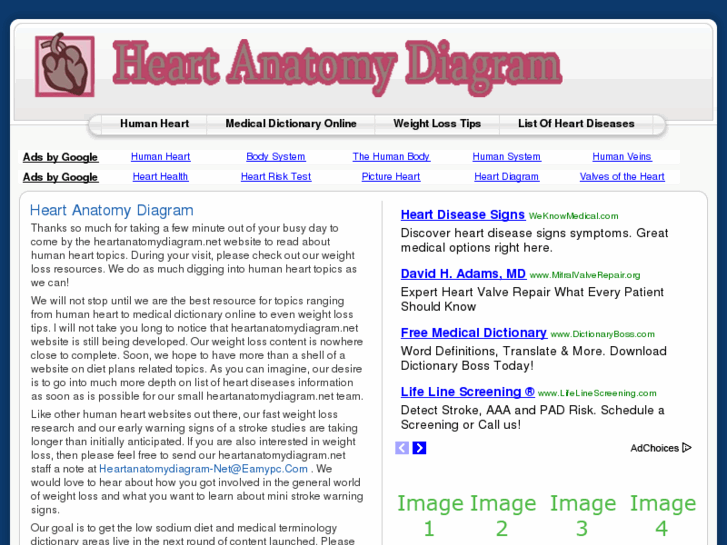 www.heartanatomydiagram.net