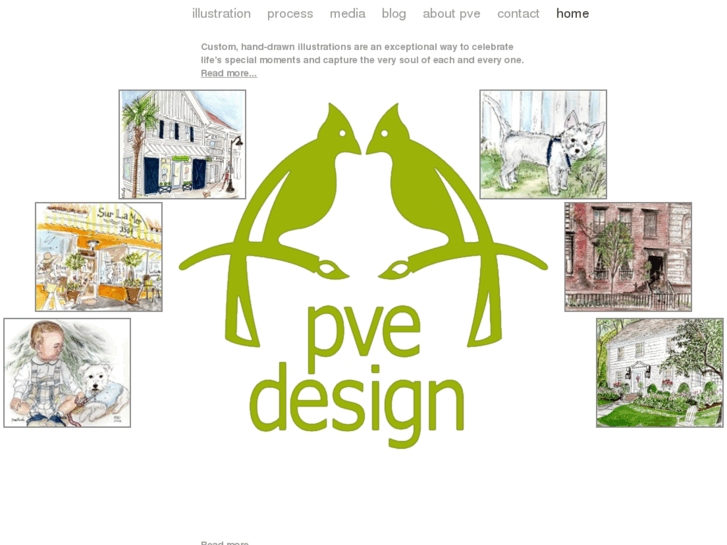 www.pvedesign.com