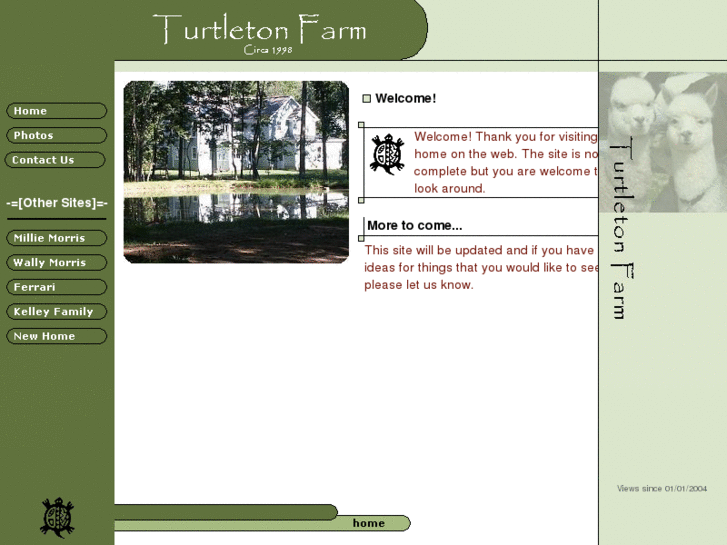 www.turtleton.com