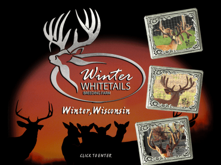 www.winterwhitetails.com