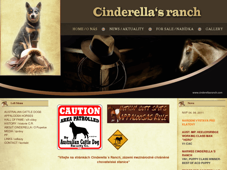 www.cinderellasranch.com