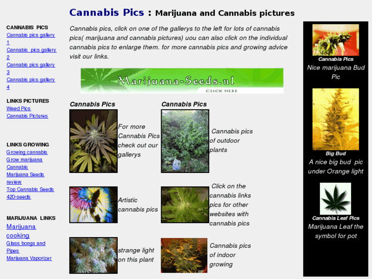 www.cannabis-pics.com