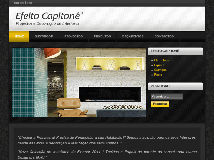 www.efeitocapitone.com