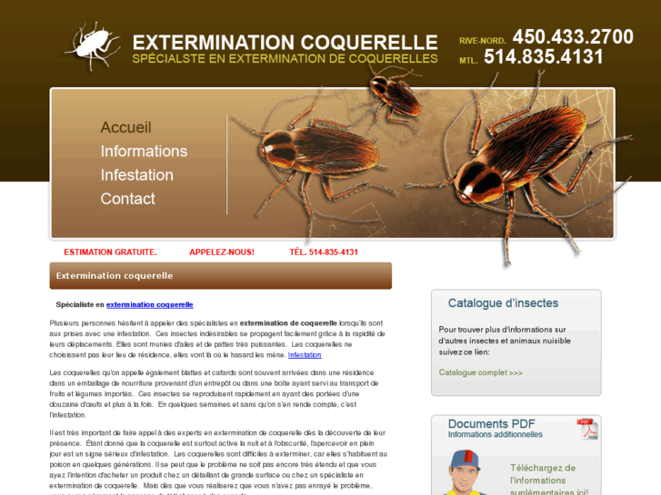 www.exterminationcoquerelle.com