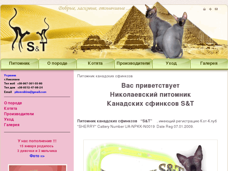 www.snt-cats.com