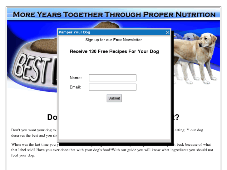 www.bestdogdiets.com