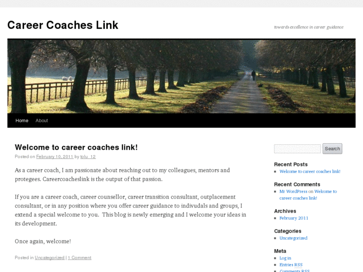 www.careercoacheslink.com