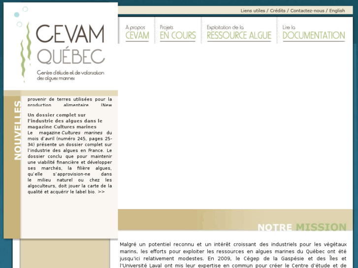 www.cevam.qc.ca