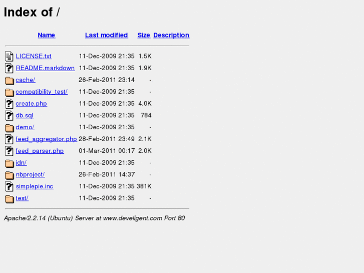 www.develigent.com