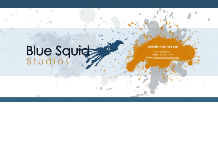 www.bluesquidstudios.com