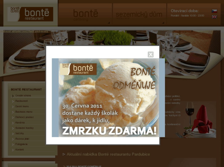 www.bonte.cz