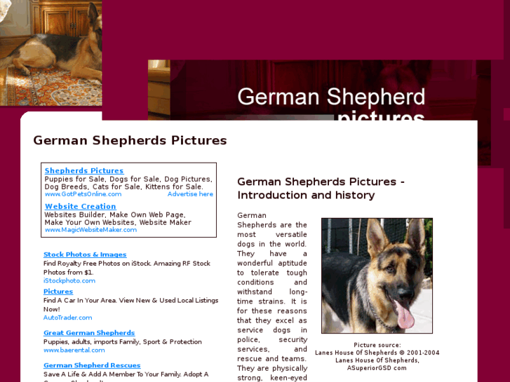 www.german-shepherd-pictures.com