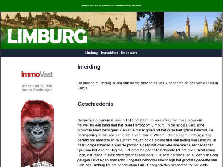 www.immobilienlimburg.com